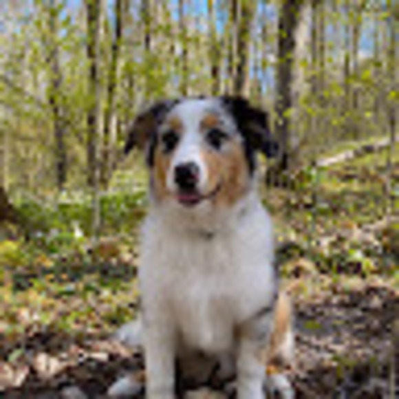 Meet your Posher, Kaia - Picture 1 of 1